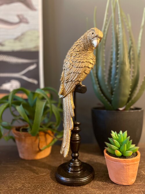 Tropical Gold Parrot on a Perch