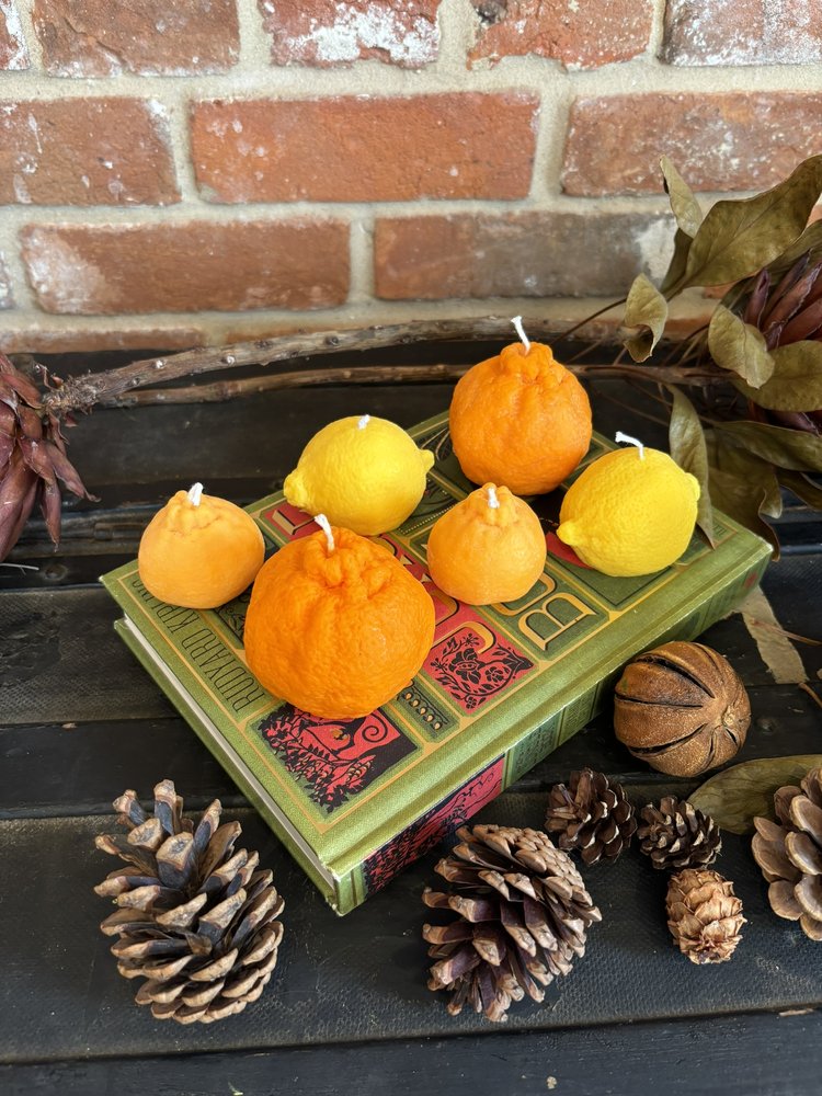 Soy Wax Citrus Candles