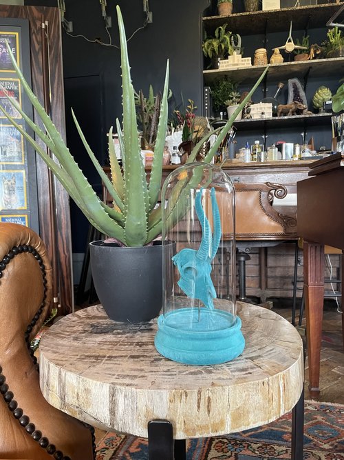 Faux Aloe Vera Plant