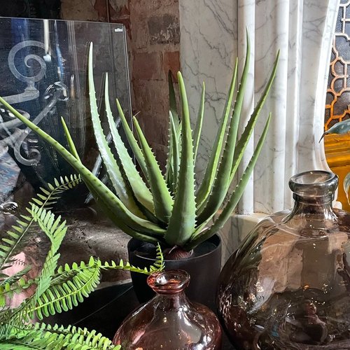 Faux Aloe Vera Plant