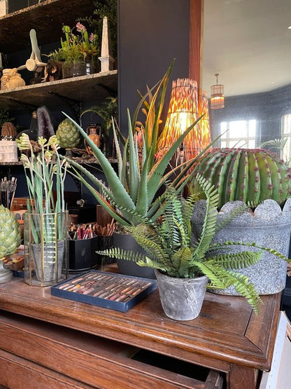 Faux Aloe Vera Plant