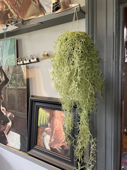 Faux Hanging Airplant Vine