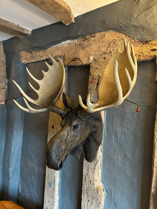 Mike The Moose