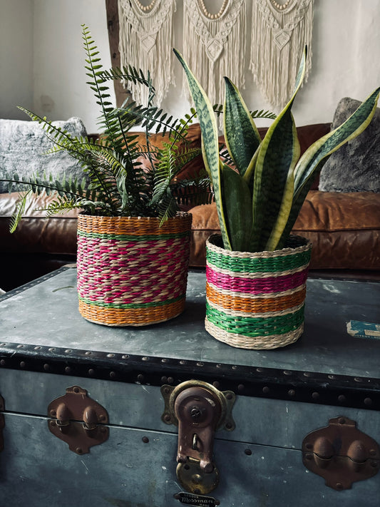Patterned Seagrass Planters - Set of 2