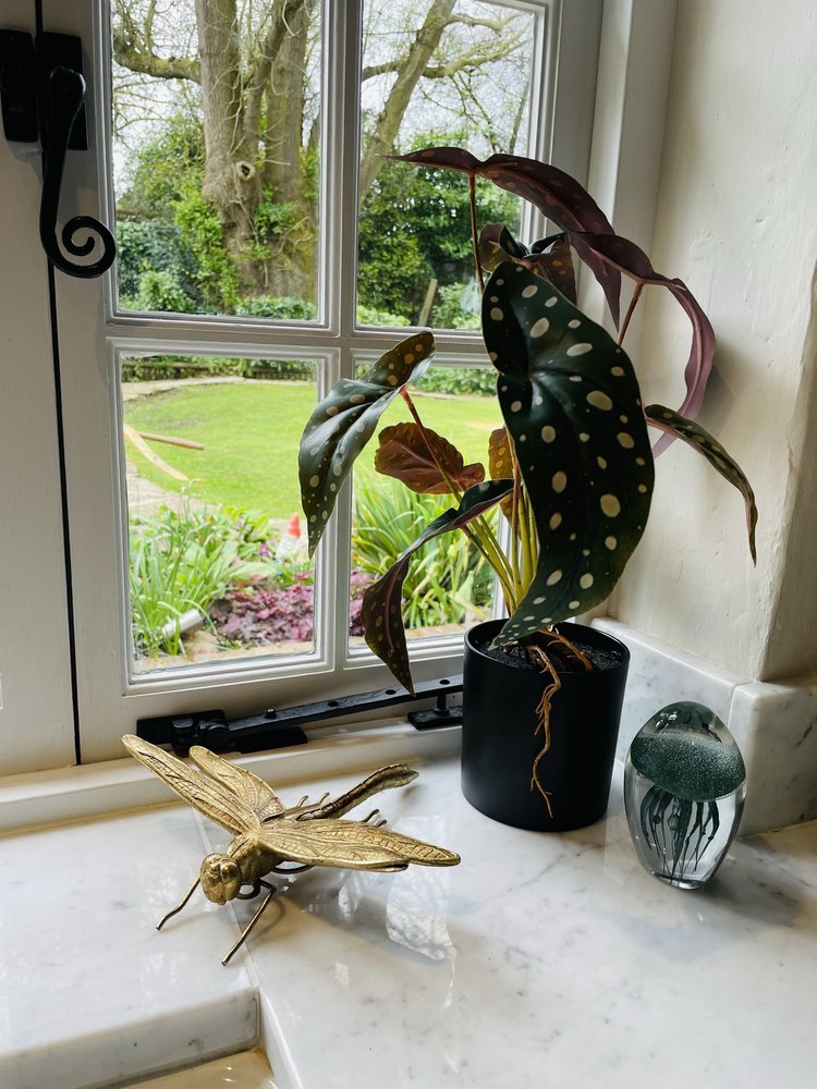 Antiqued Gold Effect Dragonfly