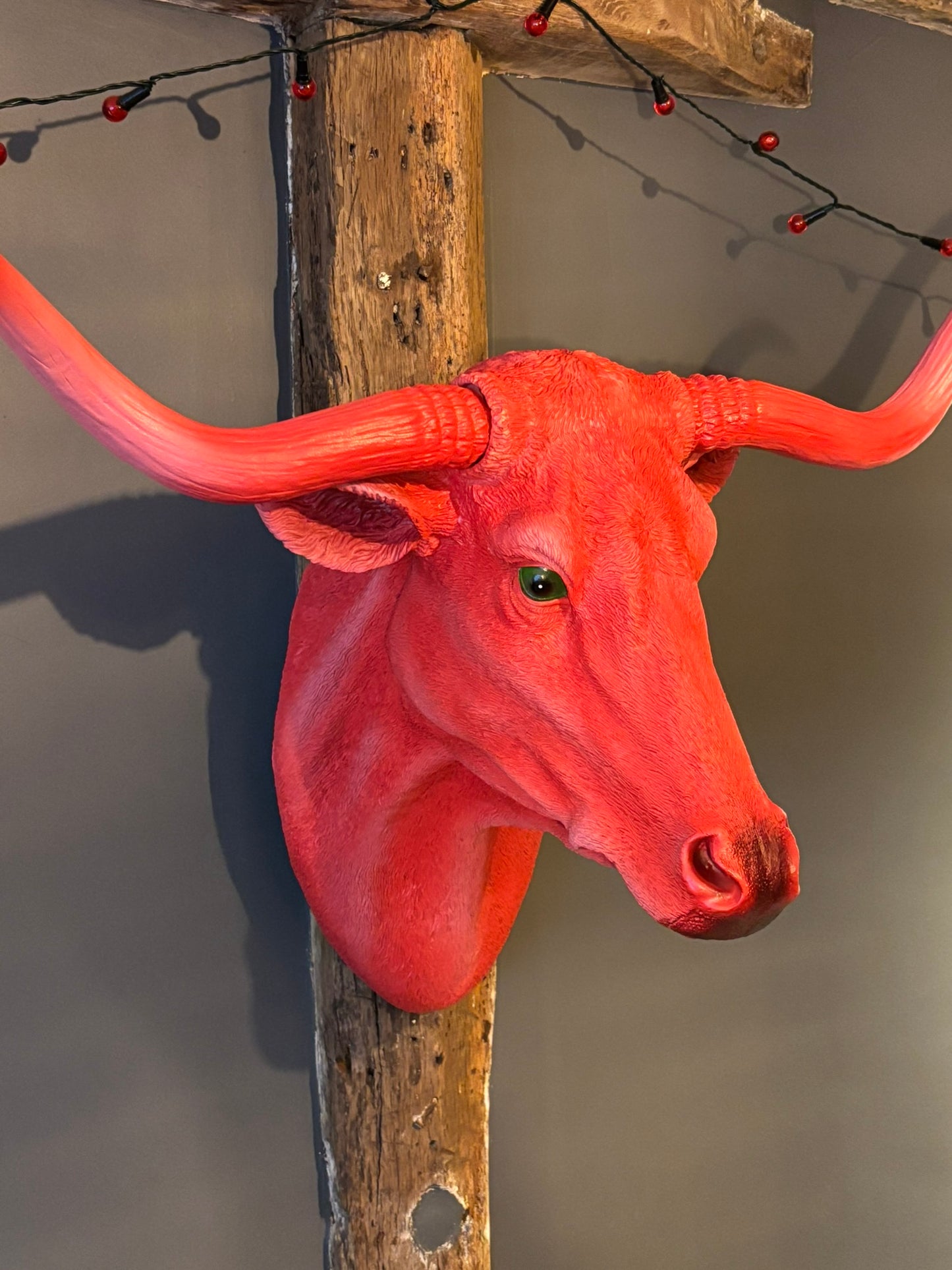 Wall Mounted Head - Simon The Pink Steer