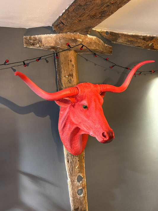 Wall Mounted Head - Simon The Pink Steer