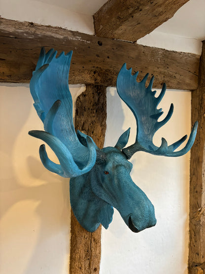 Wall Mounted Head - Marvin The Electric Blue Moose