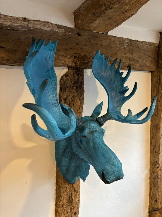 Wall Mounted Head - Marvin The Electric Blue Moose