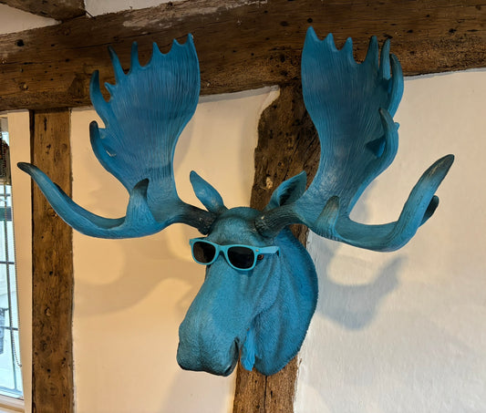 Wall Mounted Head - Marvin The Electric Blue Moose