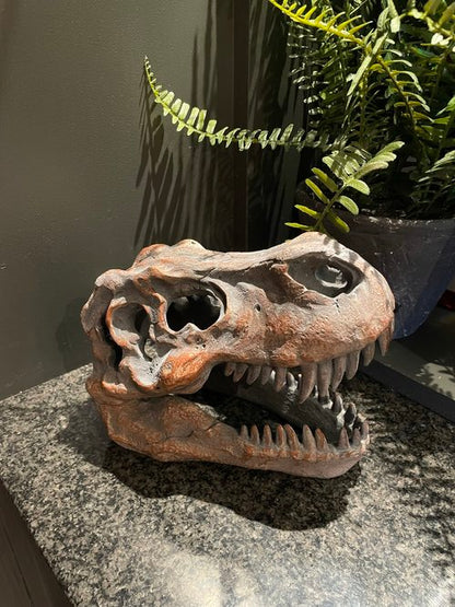 Tabletop T-Rex Skull