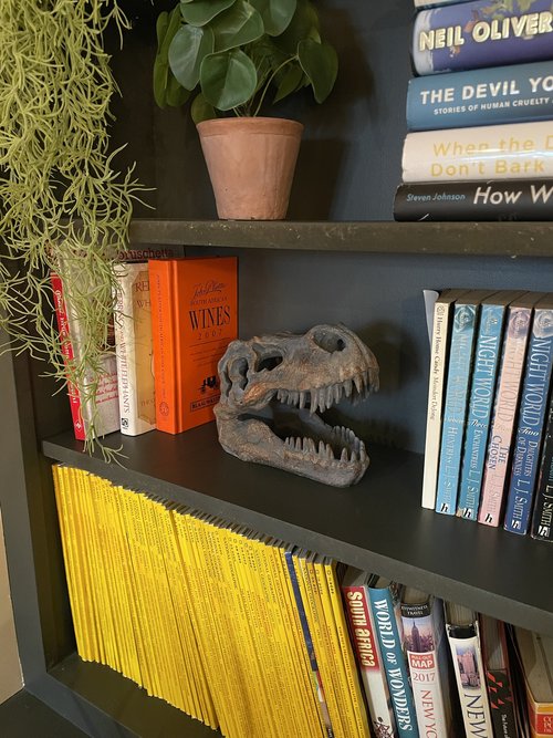 Tabletop T-Rex Skull