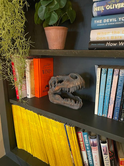 Tabletop T-Rex Skull