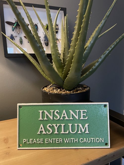 Sign - Cast Iron 'Insane Asylum'