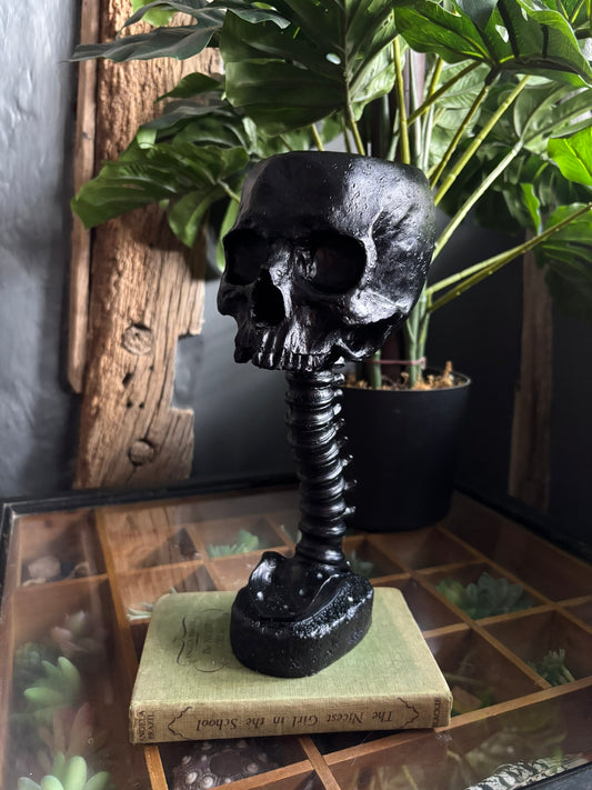 Skull And Back Bone Sculpture - Black