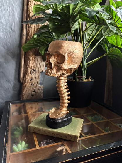 Skull And Back Bone Sculpture - Gold