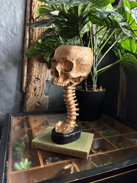 Skull And Back Bone Sculpture - Gold
