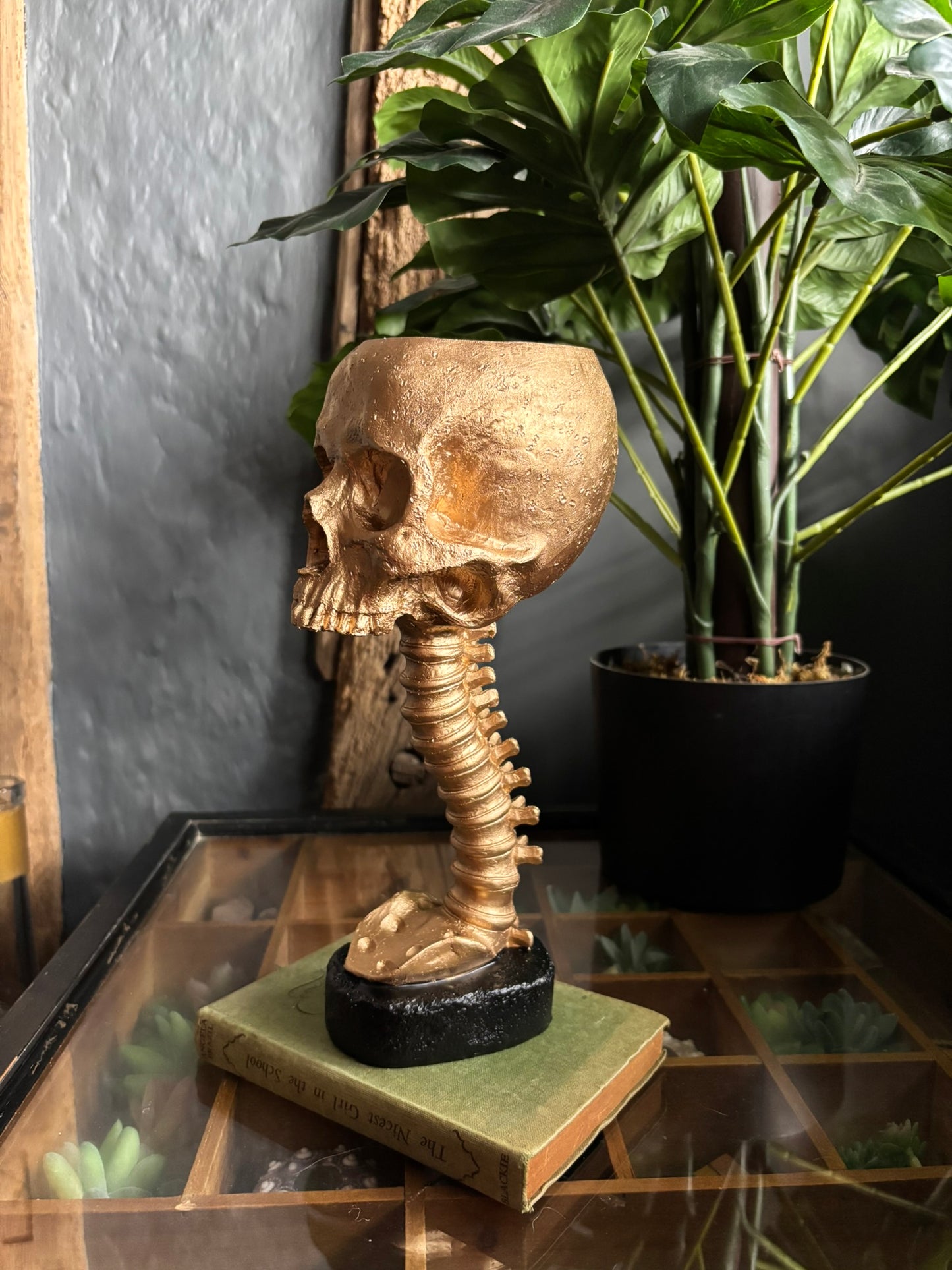 Skull And Back Bone Sculpture - Gold