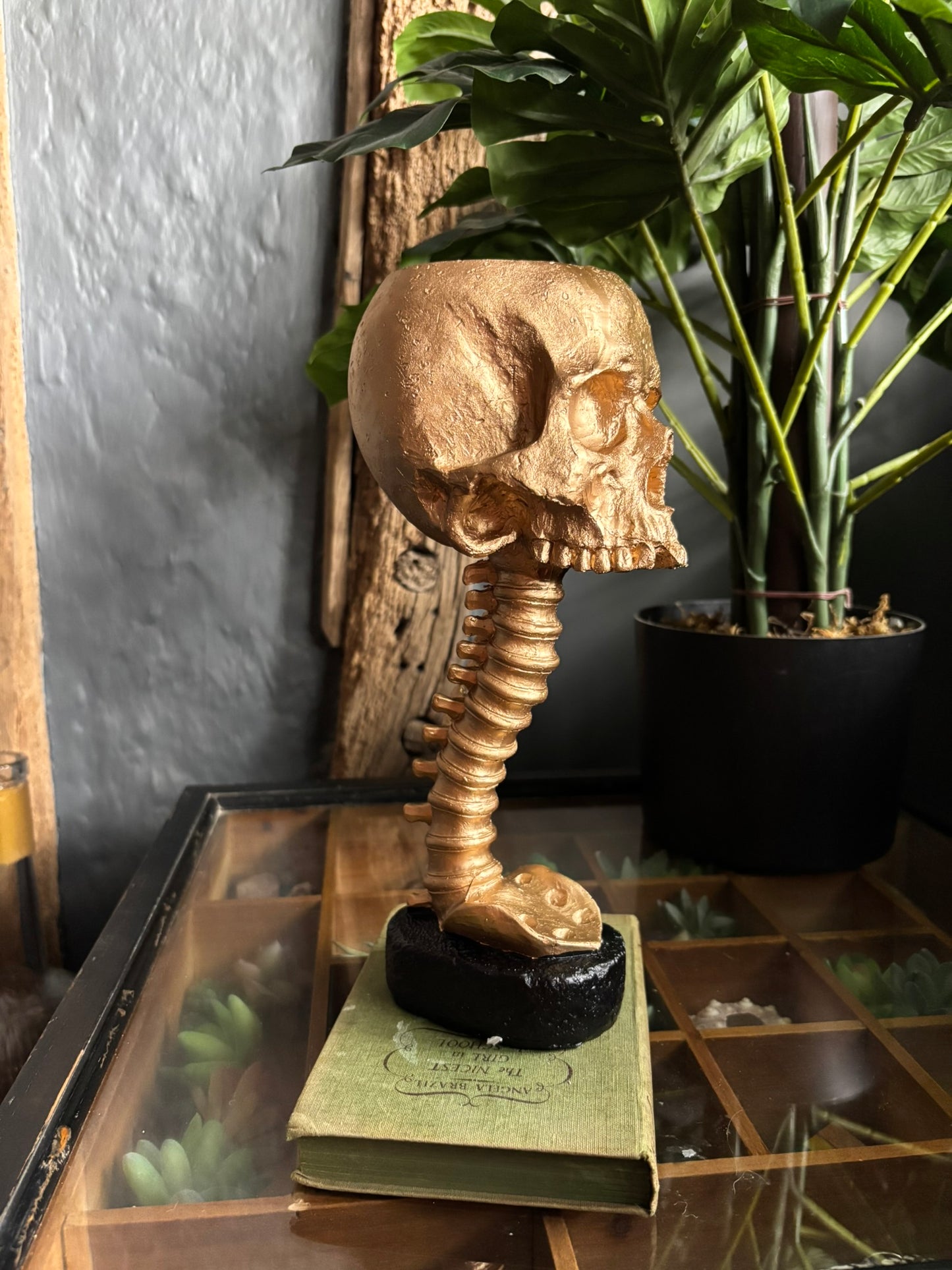 Skull And Back Bone Sculpture - Gold