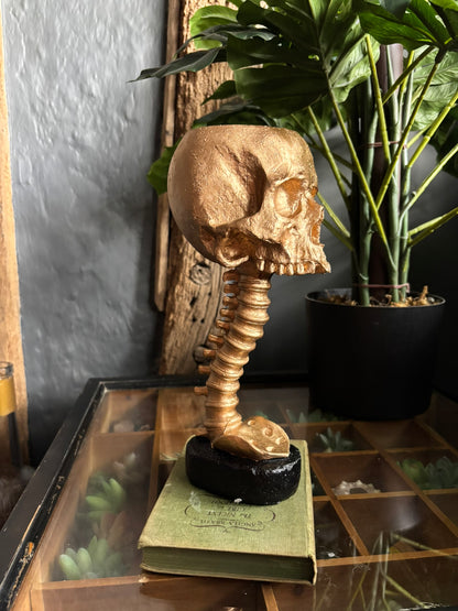 Skull And Back Bone Sculpture - Gold