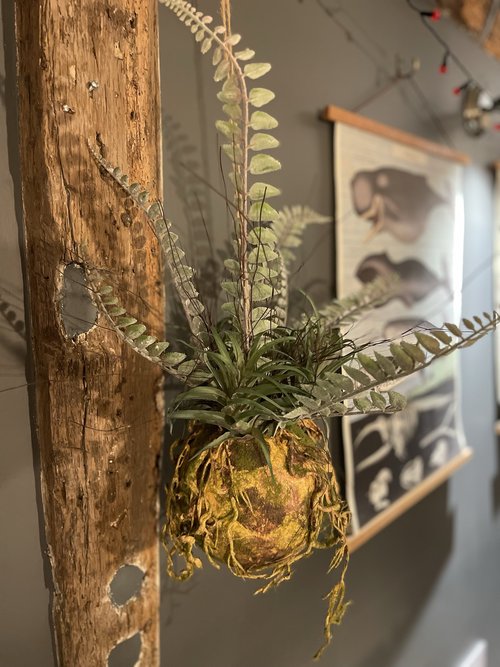 Faux Hanging Moss Ball with Ferns