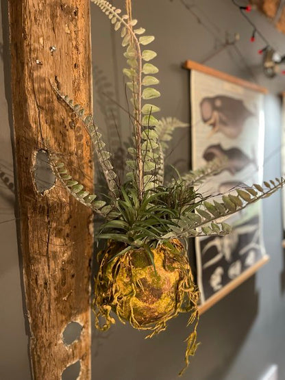 Faux Hanging Moss Ball with Ferns