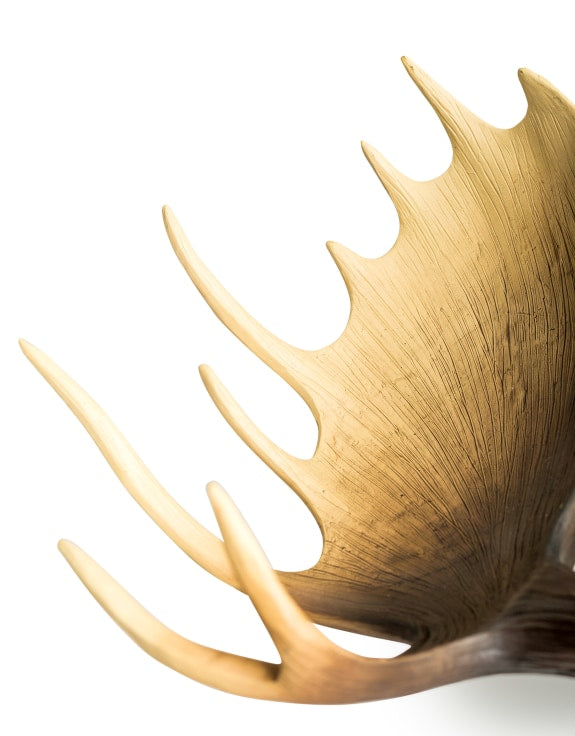 Mike The Moose
