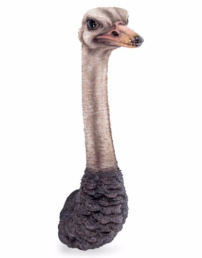 Wall Mounted Head - Serious Ostrich