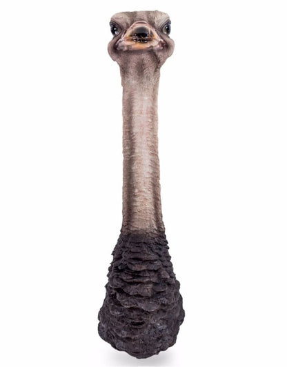 Wall Mounted Head - Serious Ostrich