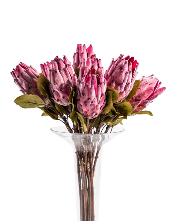 Faux Protea Stems - Set Of 3