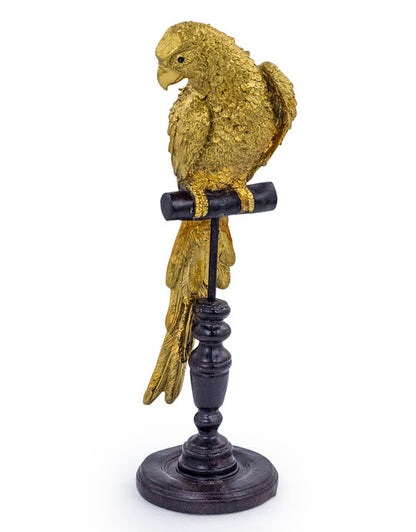 Tropical Gold Parrot on a Perch