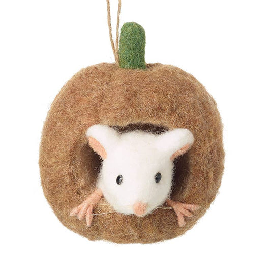 Felt Mouse In A House
