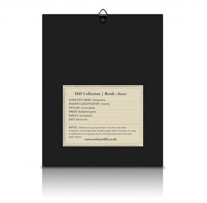 Framed Hand Embroidered Beaded Fat Beetle