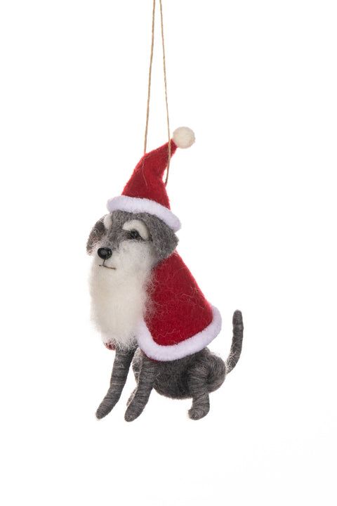 Grey Dog Dressing As Santa