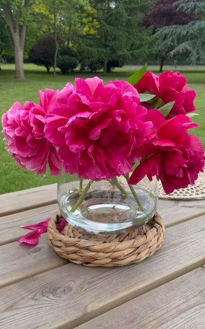 Water Hyacinth Vase/Candle Holder